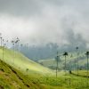 Aventura en Colombia - 9 días - Image 4